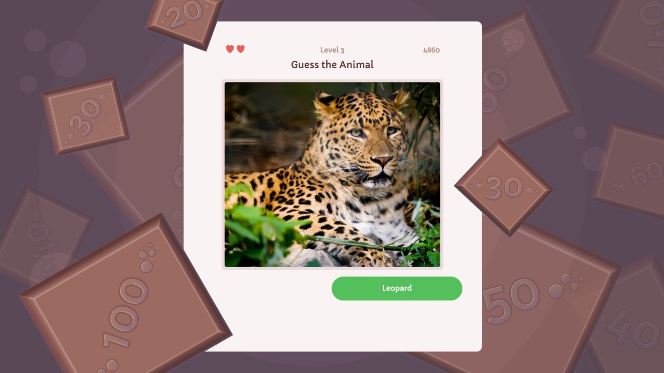 Puzzle Quiz gallery image