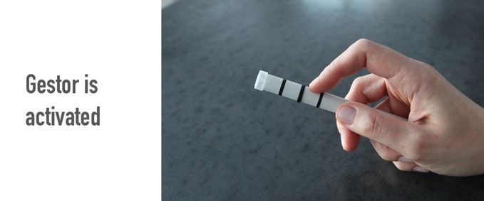 GESTOR gallery image