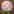 Lumora – Release Your Feelings