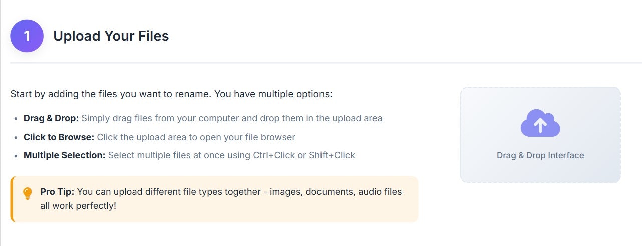 Free Bulk Filename Renamer & Formatter gallery image