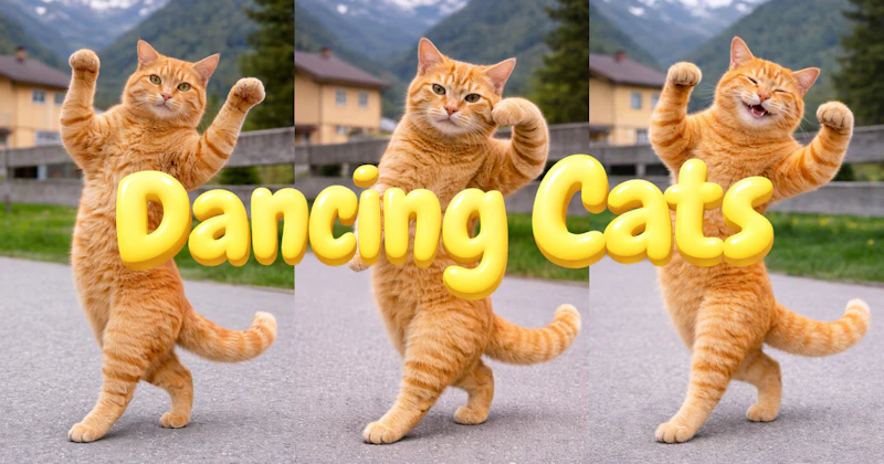 DANCING CATS App screenshot 8