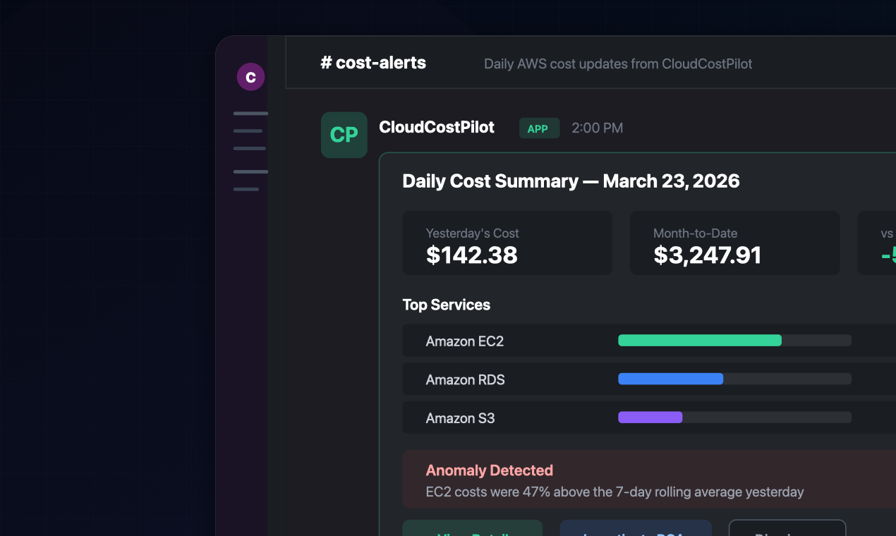 CloudCostPilot gallery image