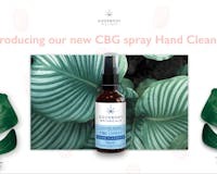 CBG Spray Hand Sanitiser media 1