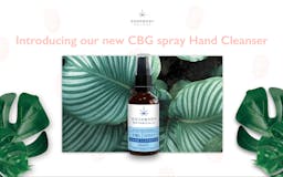 CBG Spray Hand Sanitiser media 1