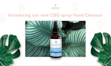 CBG Spray Hand Sanitiser gallery image
