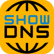 DNS Propagation Checker