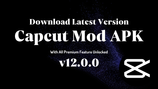 Capcut Pro Apk media 2