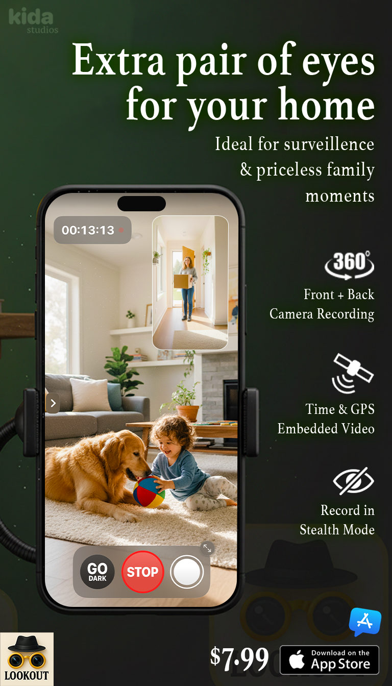 Lookout : Dual Camera Recorder gallery image