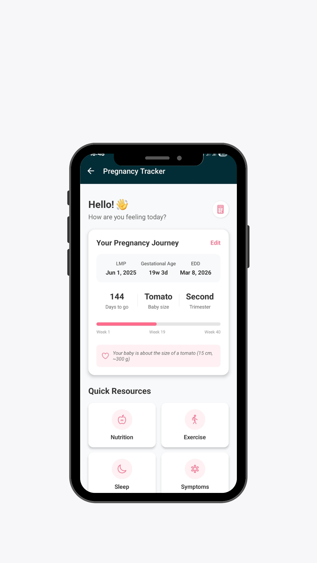 Pregnancy Journey: Week by Week gallery image