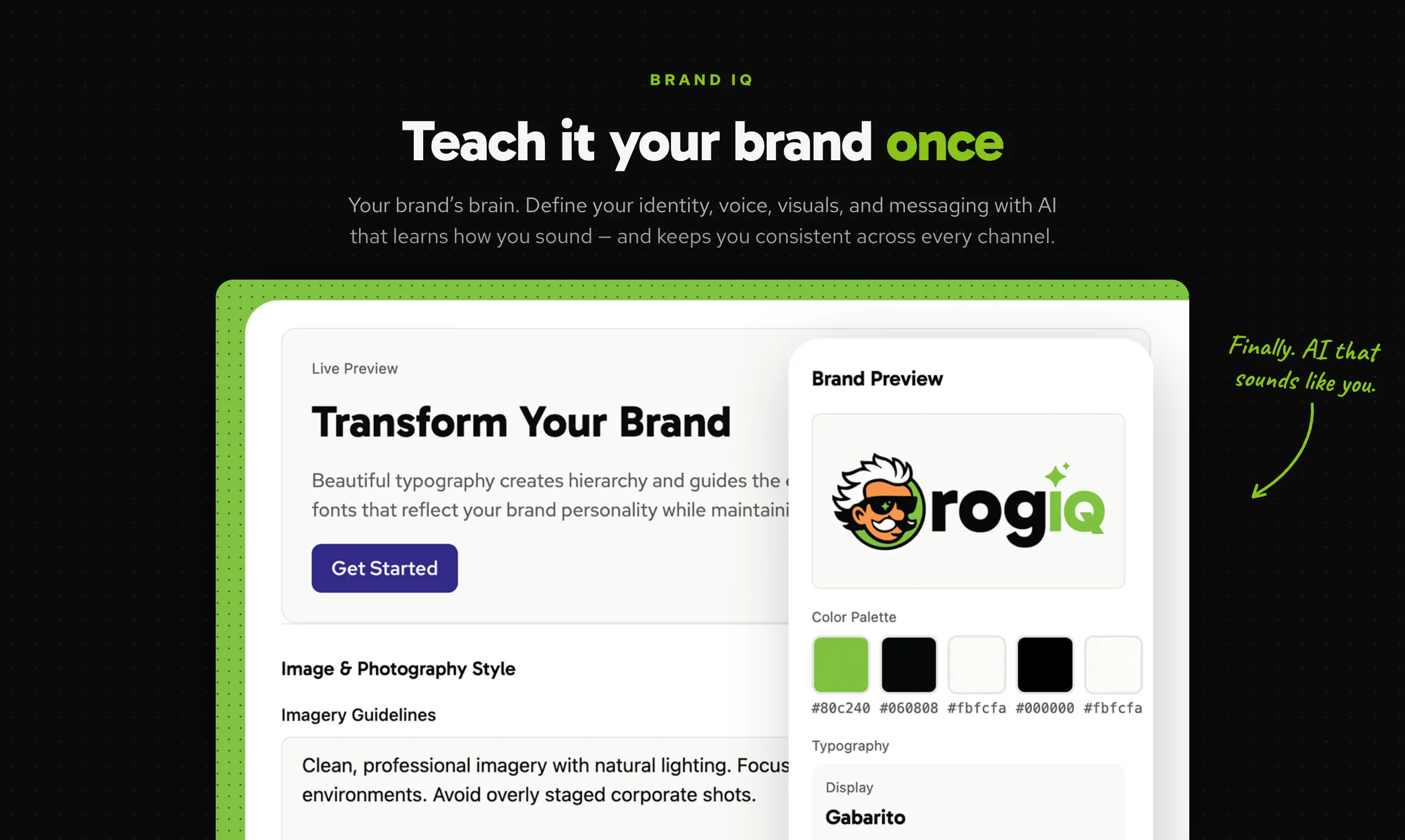 RogIQ gallery image