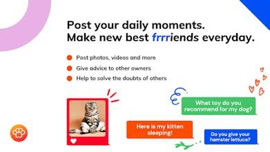 SocialPets gallery image