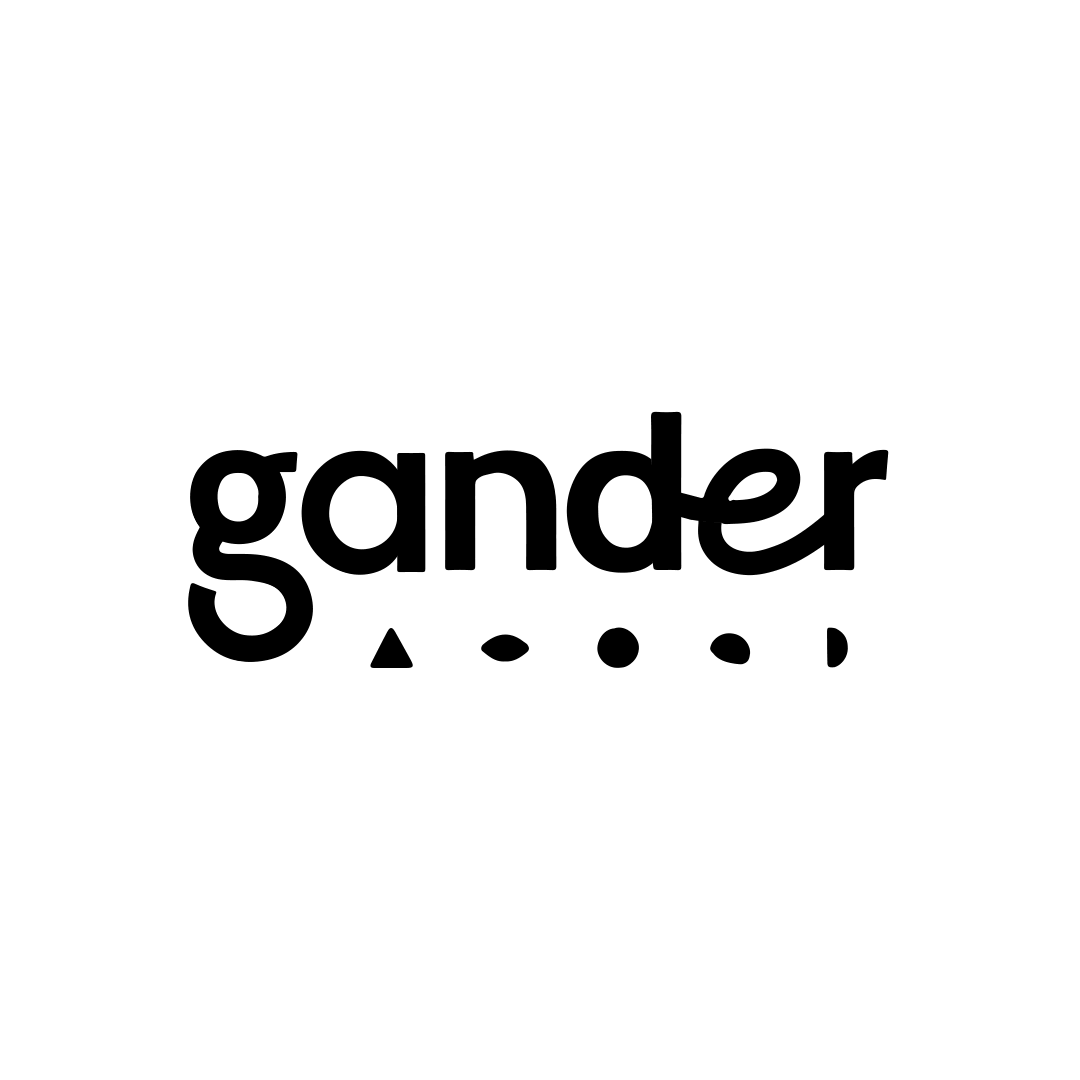 Video Landing Pages by Gander
