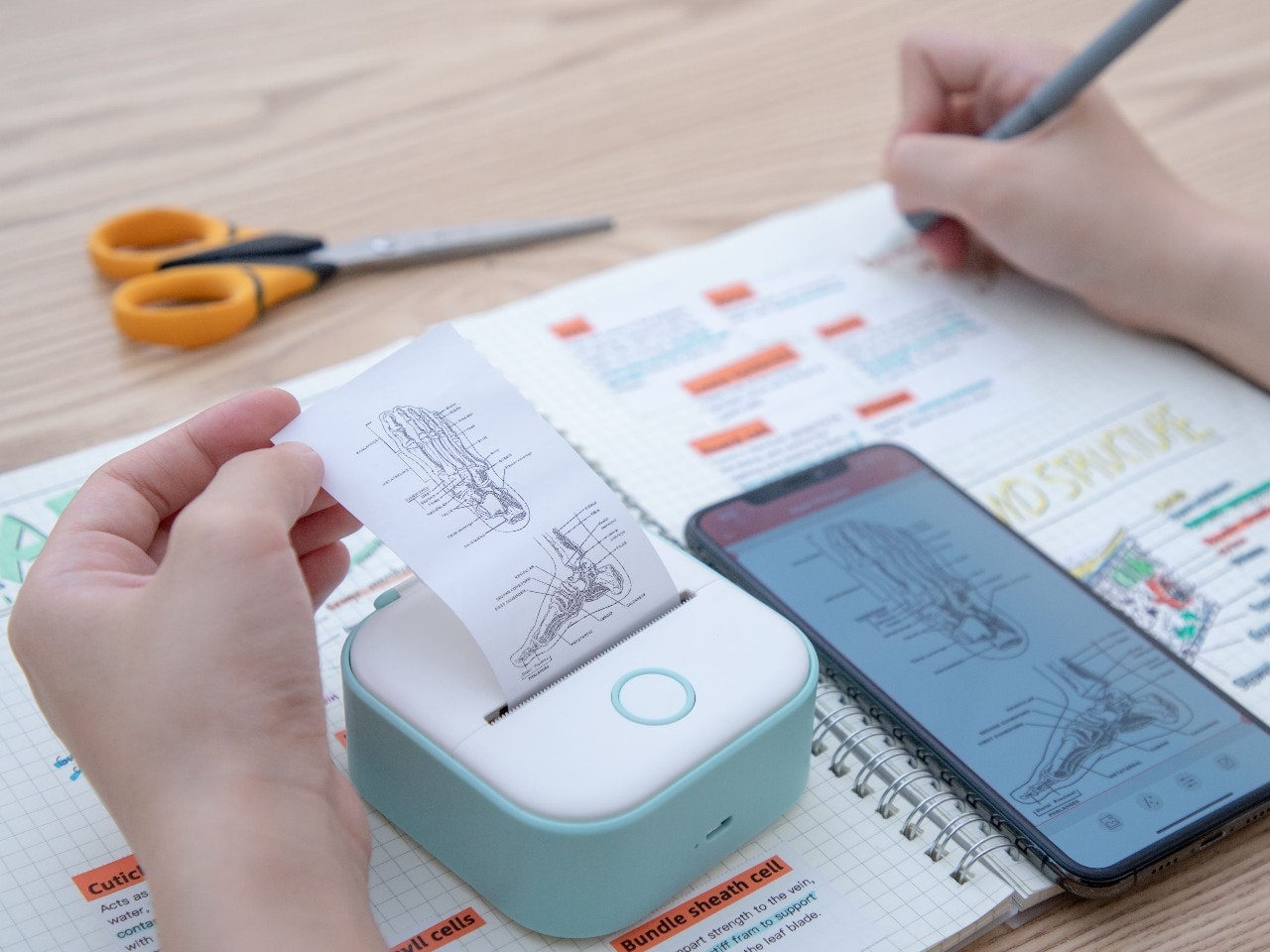 Phomemo T02 Inkless Pocket Printer gallery image