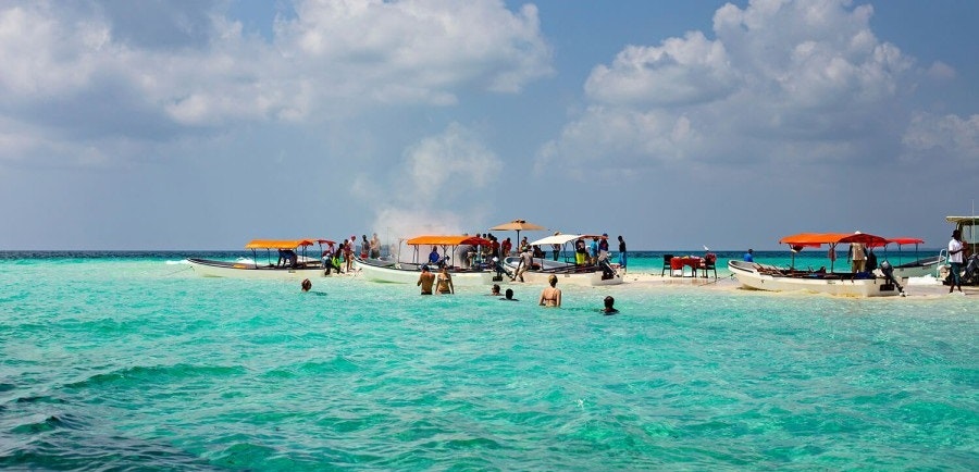 Africantrust Safari media 228