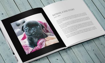 Gone Dogs gallery image