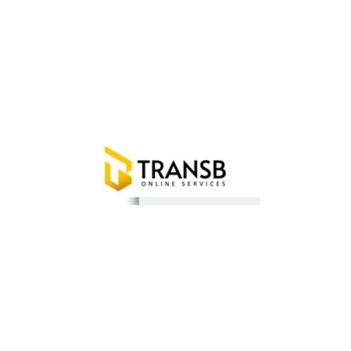 Audio and Video Transcription services