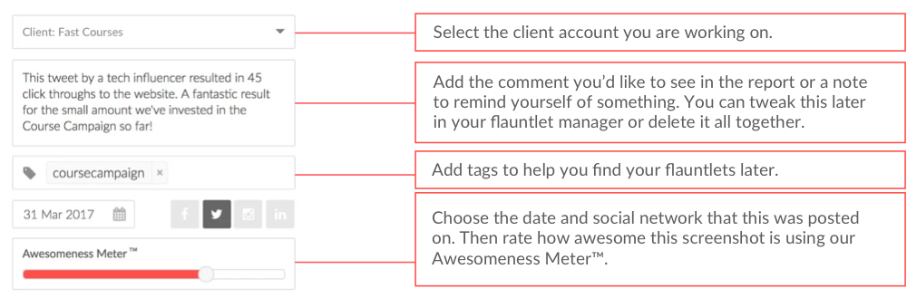 Flaunt gallery image