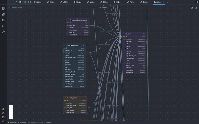 RaisDB screenshot 3