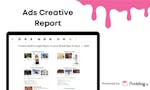 Ad Report by Pudding.ai image