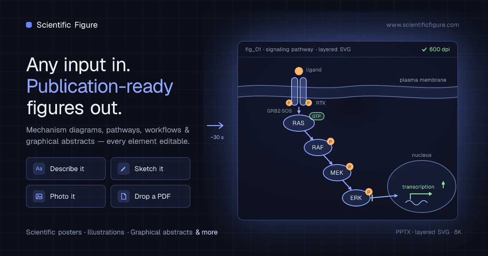 Scientific Figure screenshot 1