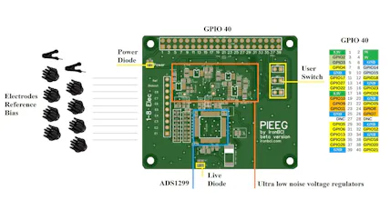PiEEG gallery image