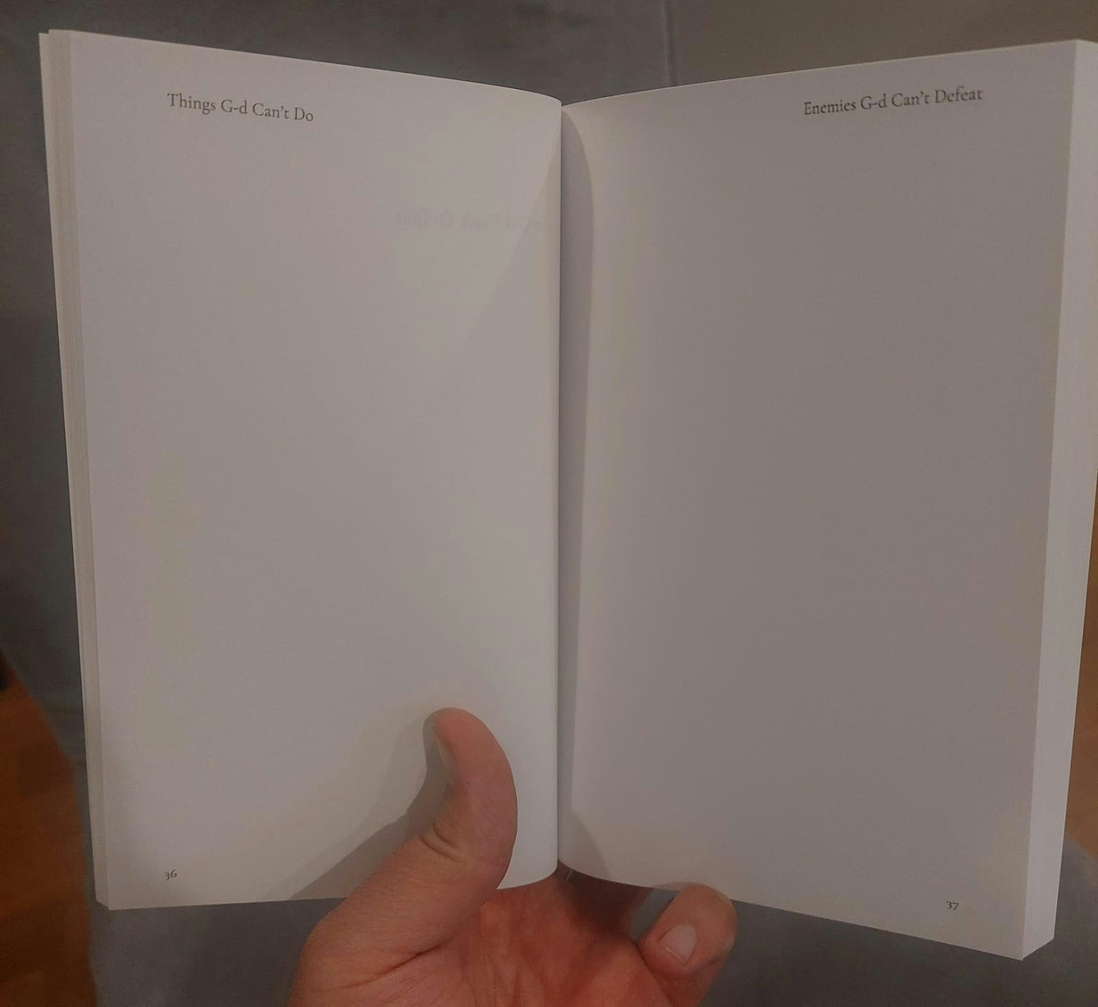 Things God Can't Do (book) - Screenshot 2 showing product features and functionality