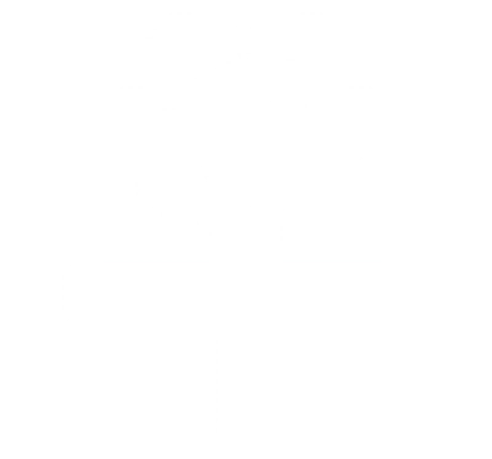 Renaissance Computer Services screenshot 1