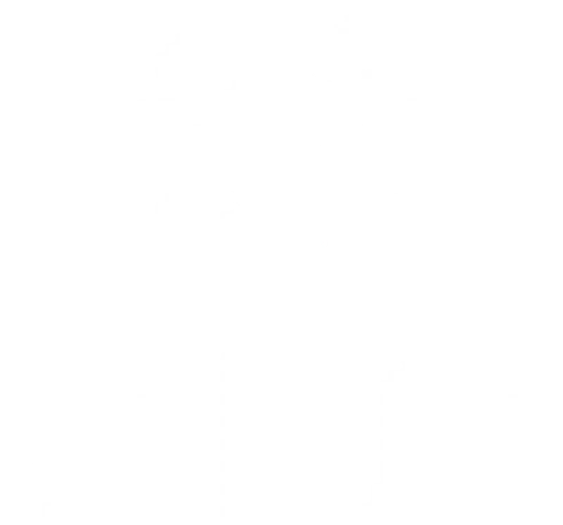 Renaissance Computer Services screenshot 1