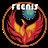 FEENIS Audits