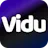 Vidu Studio