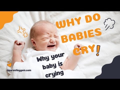 blog site building gallery image