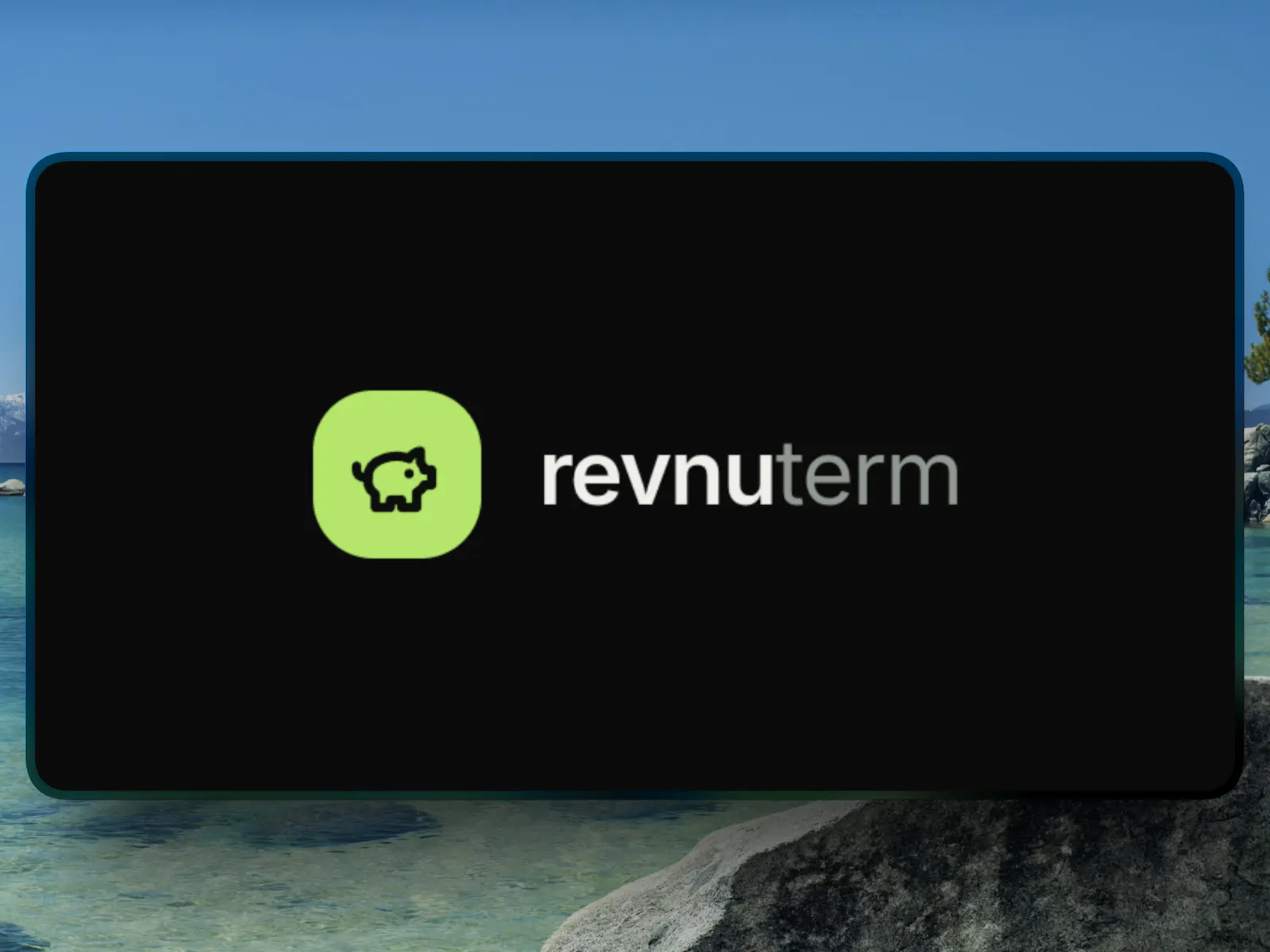 revnuterm screenshot 3
