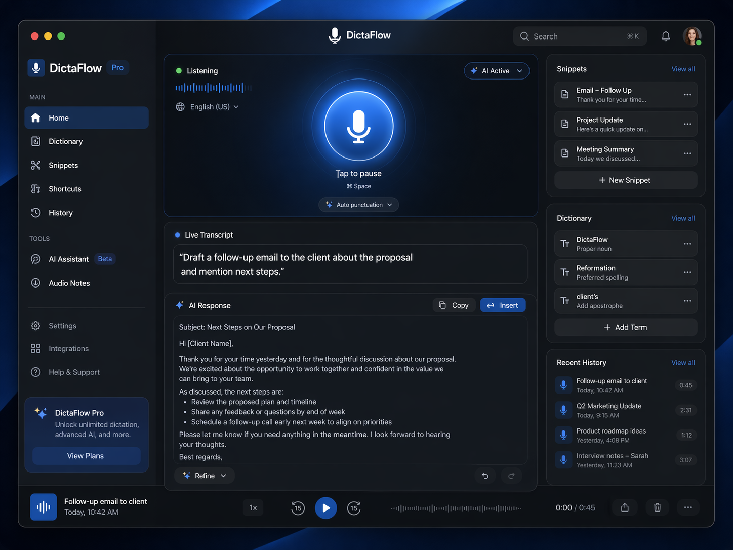 DictaFlow gallery image