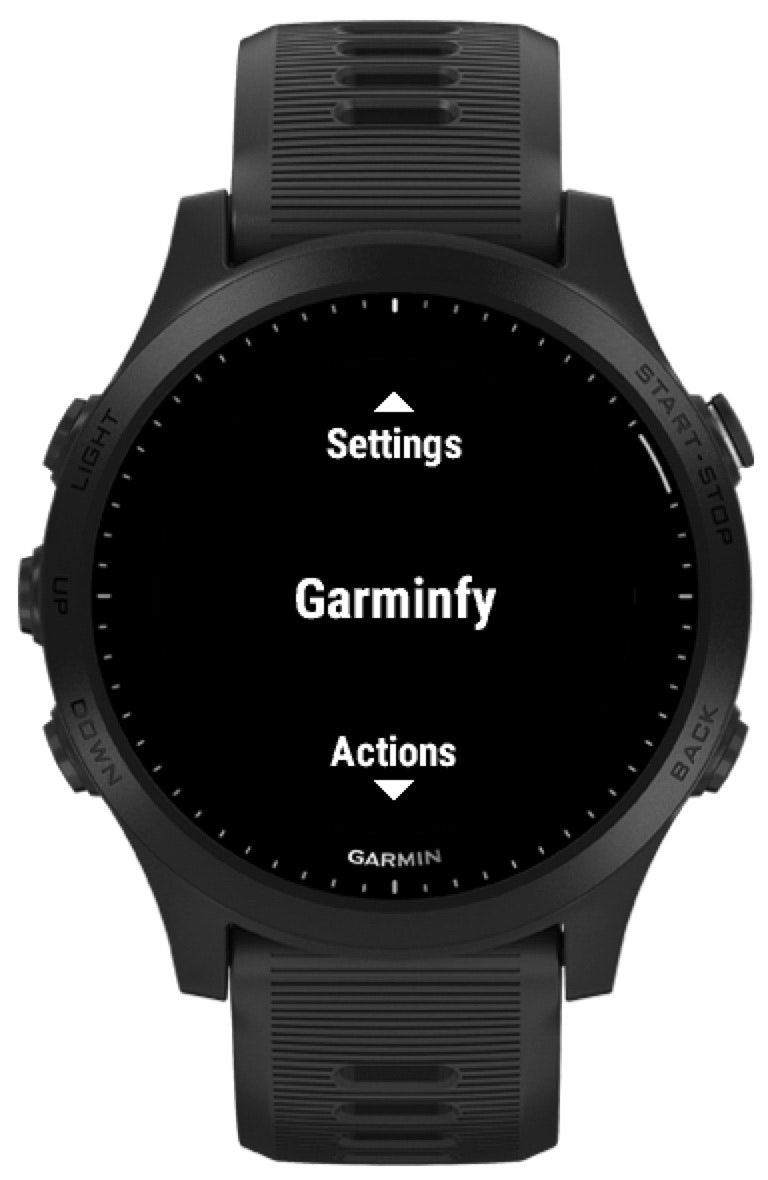 Garminfy media 1