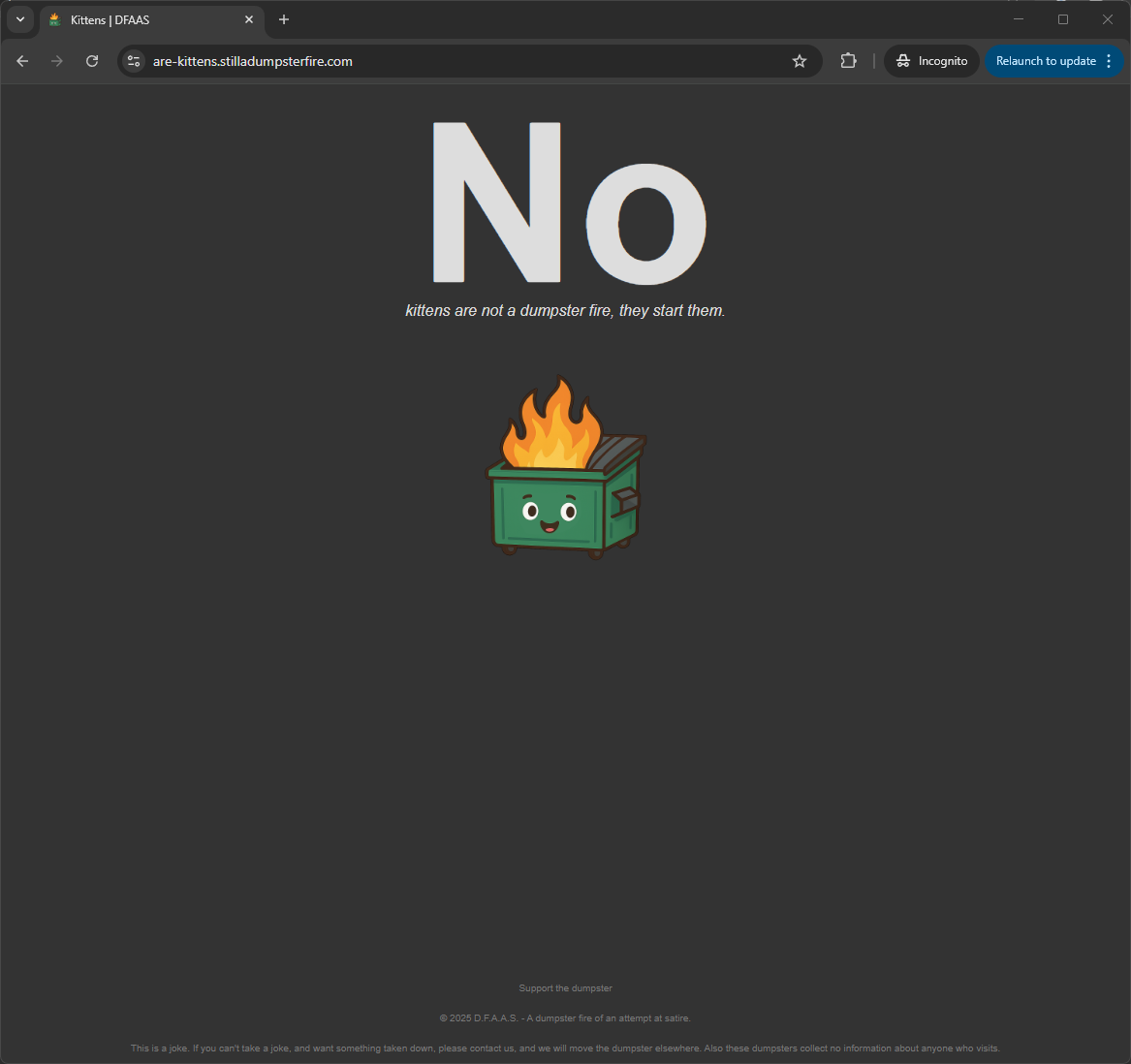 D.F.A.A.S. - Dumpster Fire as a Service media 2