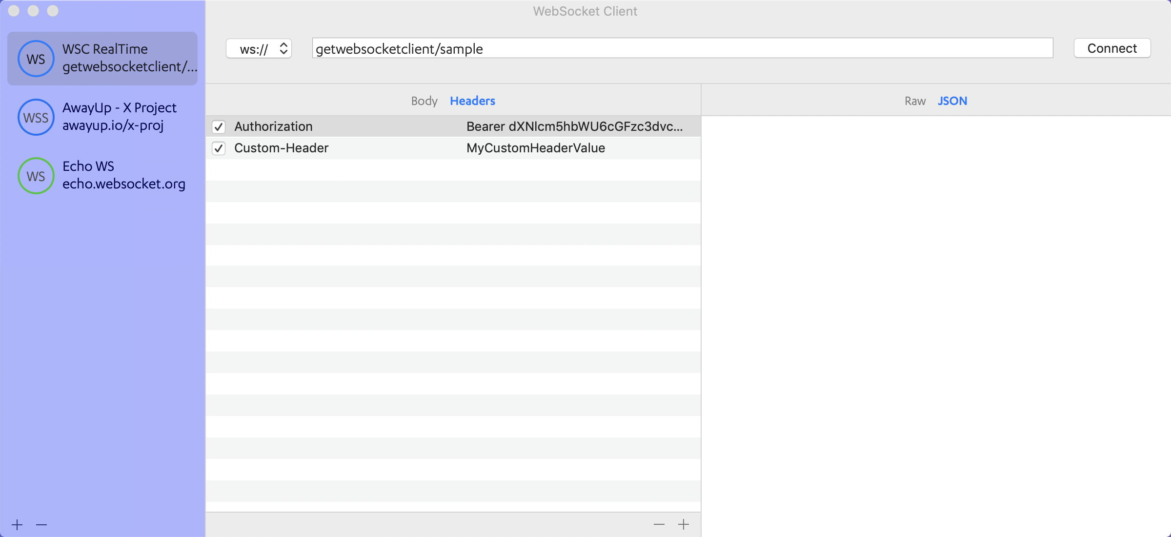 WebSocket Client gallery image