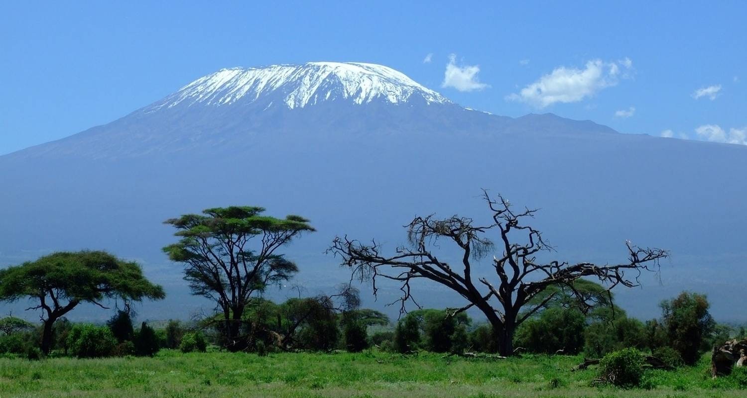 Africantrust Safari gallery image