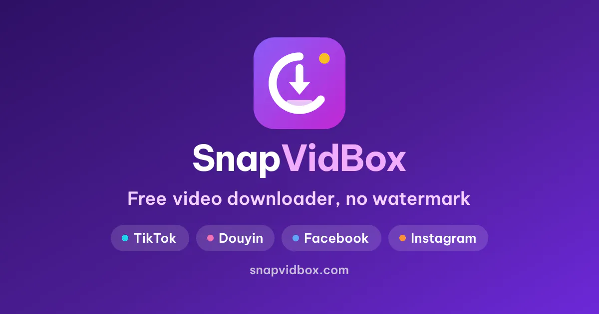 SnapVidBox gallery image