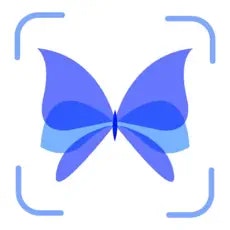 Bug Identifier : Insect Id