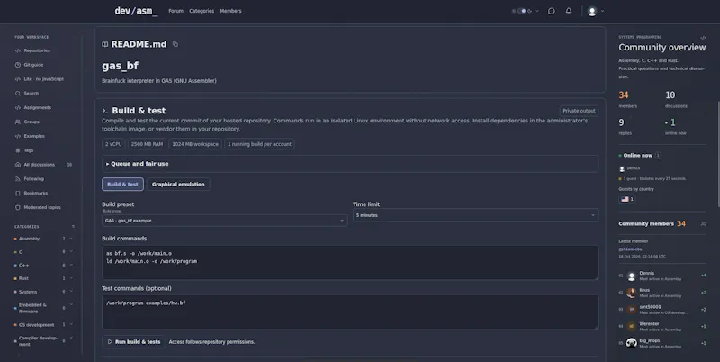 devasm.pro screenshot 3