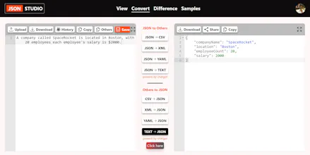 JSON Studio gallery image