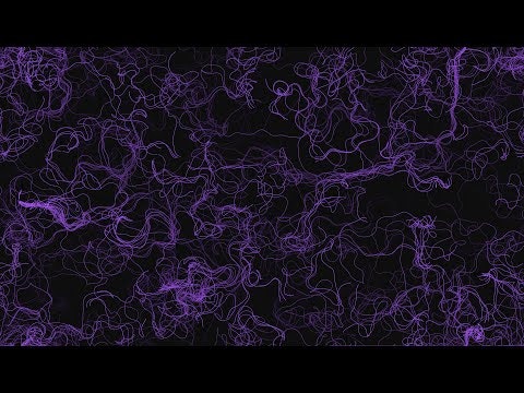 Pollux gallery image