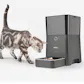 Petnet