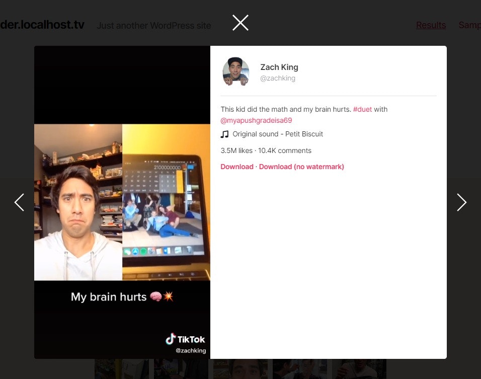 TikTok Video Downloader Non Watermarrk gallery image