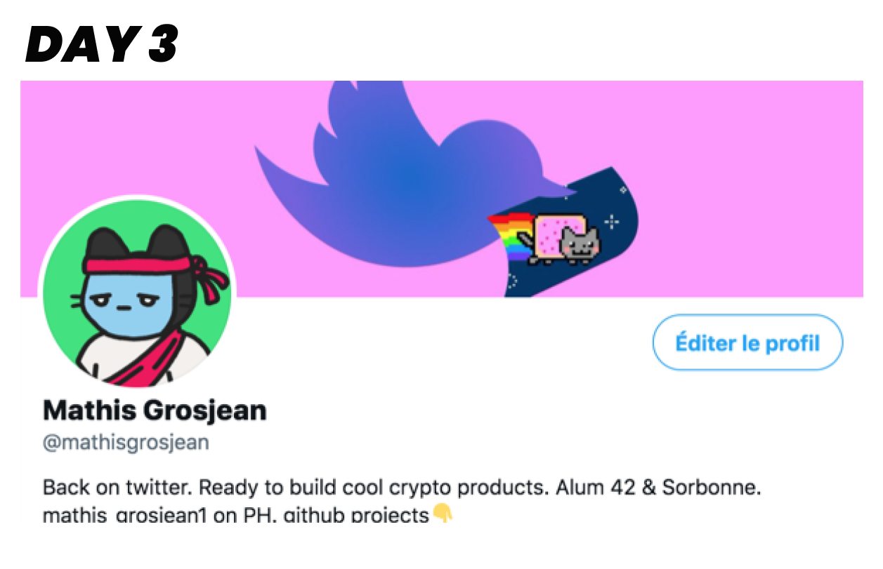 Show my NFT on Twitter gallery image