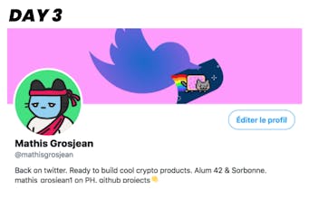 Show my NFT on Twitter gallery image