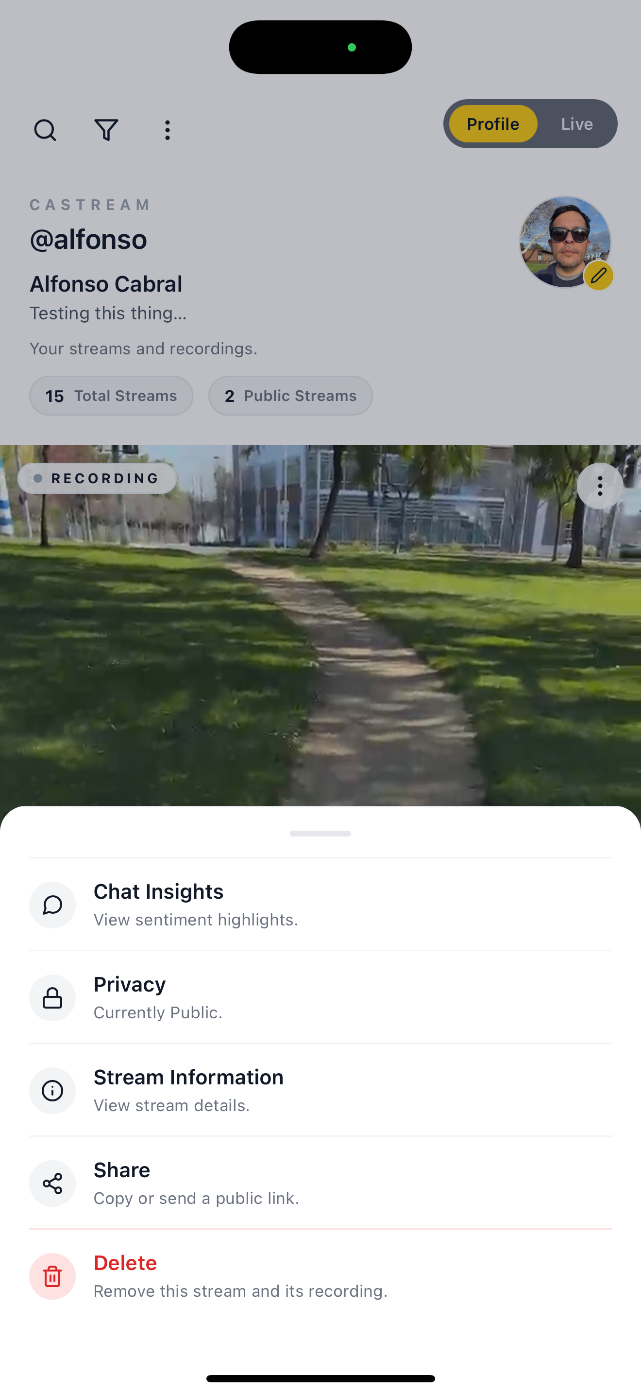 Castream gallery image