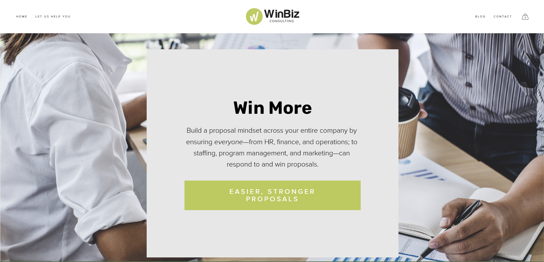 WinBiz Consulting gallery image