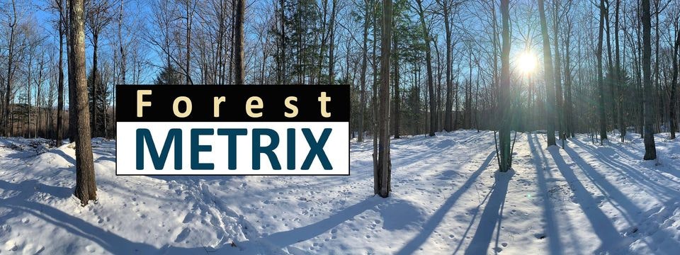 ForestMetrix gallery image
