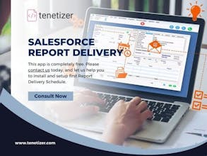 Tenetizer Salesforce Integration Product gallery image